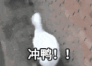 微信图片_20221027105756.gif